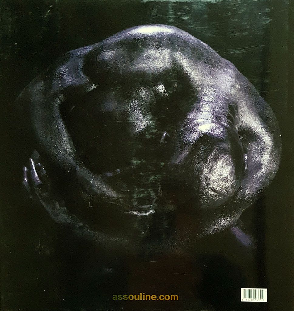 Livre Skin Damien Dufresne - 4e couv